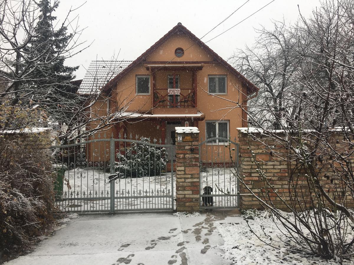 Transilvania Apartman Хайдусобосло Экстерьер фото